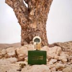 ⁦لوسينس Female⁩ - الصورة ⁦2⁩